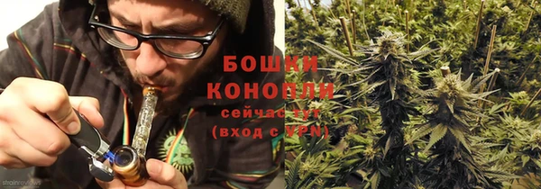 ПСИЛОЦИБИНОВЫЕ ГРИБЫ Белоозёрский