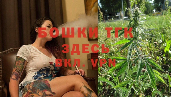 ПСИЛОЦИБИНОВЫЕ ГРИБЫ Белоозёрский