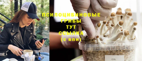 каннабис Богородицк