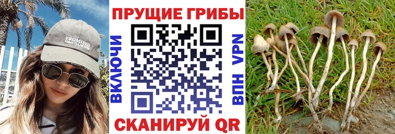 Галлюциногенные грибы ЛСД  Борзя 